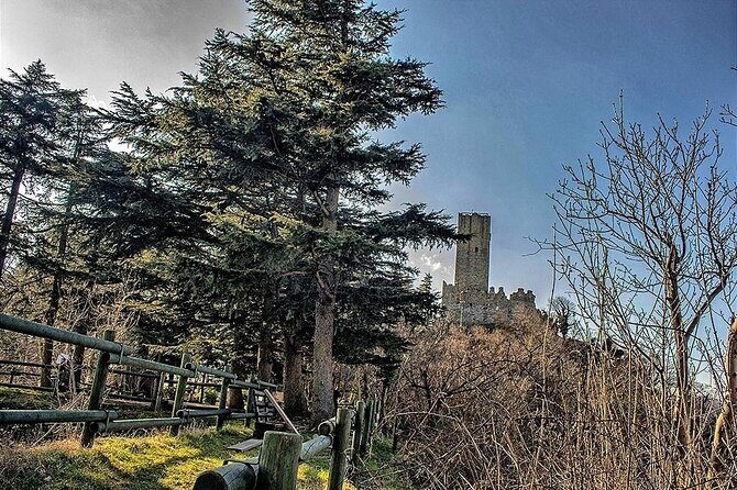 Private 2-Hour Tour of the Medieval Castle over Lake Como - Final Thoughts: Is It Worth It?