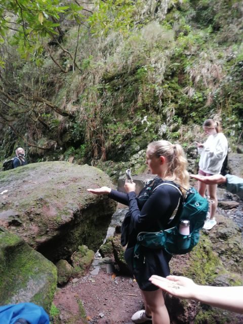 Private - 25 Fontes and Risco Waterfall Guided Tour - An In-Depth Look at the Tour