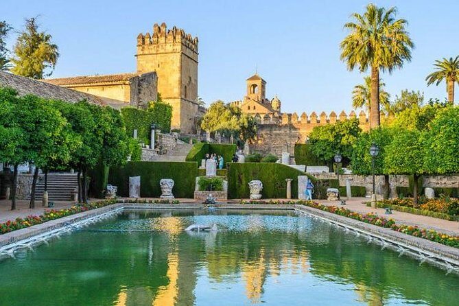 Private 3-hour Walking Tour of Cordoba with official tour guide - Authentic Experiences and Tips from Reviewers