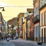 Private 4-hour Tour to La Laguna from Tenerife from Hotel or Port pick-up - Who Should Book This Tour?