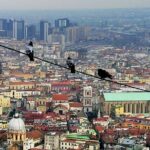 Private 4-Hour Walking Tour of Naples with official tour guide - Who Should Consider This Tour?