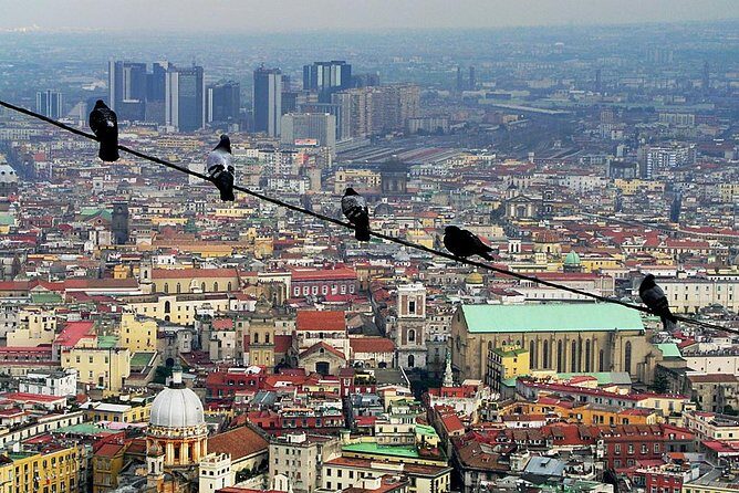 Private 4-Hour Walking Tour of Naples with official tour guide - Who Should Consider This Tour?