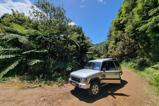 Private 4x4 Jeep Half-Day Tour - "Jurassic Park" - The Value of a Private Guided Tour