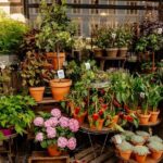 Private 90-Minute Walking Tour in Stockholm - What Makes This Tour Stand Out