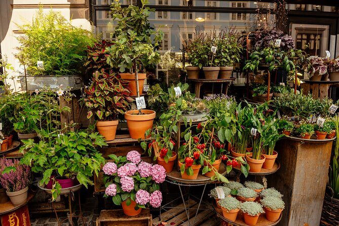 Private 90-Minute Walking Tour in Stockholm - What Makes This Tour Stand Out