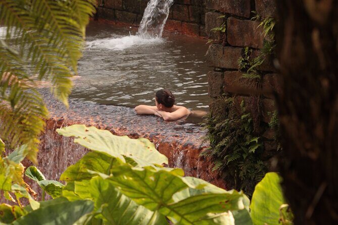 Private - All of Furnas, Tea Plantation, ticket to Beija included - Who Is This Tour Best For?