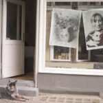 Private Analogue Photography Experience in Berlin - An In-Depth Look at the Experience