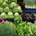 Private and guided VEGETARIAN / VEGAN tour of Istanbul - Authentic Insights from Past Participants