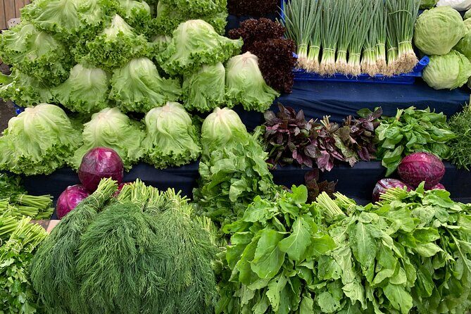 Private and guided VEGETARIAN / VEGAN tour of Istanbul - Authentic Insights from Past Participants