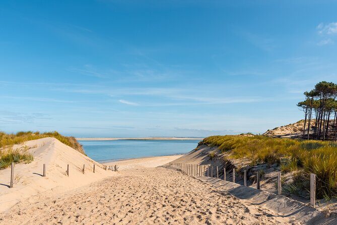 Private Arcachon Full-Day tour, from Bordeaux - An In-Depth Look at the Itinerary
