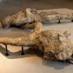 Private Archaeologist service to explore Pompeii's secrets any time ticket incl. - The Experience Breakdown