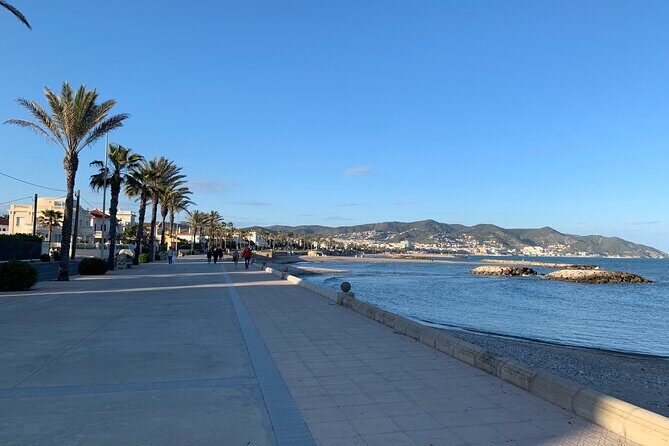 Private Arrival Transfer from Barcelona Airport to Sitges - Who Will Benefit Most?