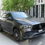 Private Arrival Transfer: from Zurich Airport to Zurich City - Who Is This Transfer Best For?