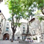 Private Barcelona Old Town and Gothic Quarter Walking Tour - Additional Considerations