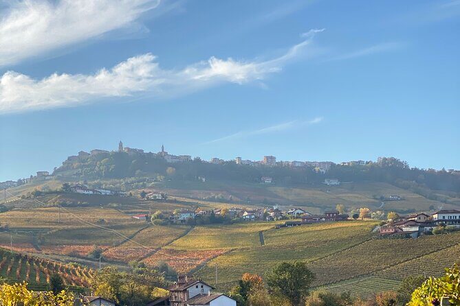 Private Barolo / Barbaresco - Piedmont Wine Tours and Tastings - Why Choose This Tour? An In-Depth Look