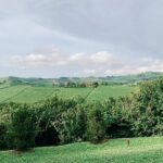 Private Barolo Wine Tour with Winemaker from Turin - Who Will Love This Tour?