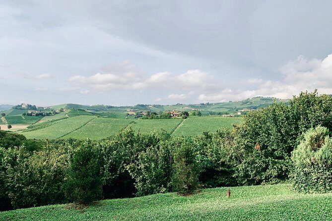 Private Barolo Wine Tour with Winemaker from Turin - Who Will Love This Tour?