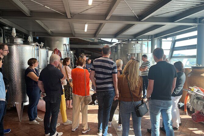 Private Barolo Wine Tour with Winemaker - The Guide and Personalized Touch