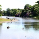 Private Beatles Car Tour, Penny Lane, Strawberry Field & childhood homes - An In-Depth Look at the Itinerary