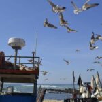 Private Best Fish Experience - Key Points