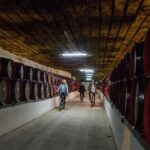 Private Bike Tour to Cricova Winery with wine tasting and lunch - Authentic Insights from Past Travelers