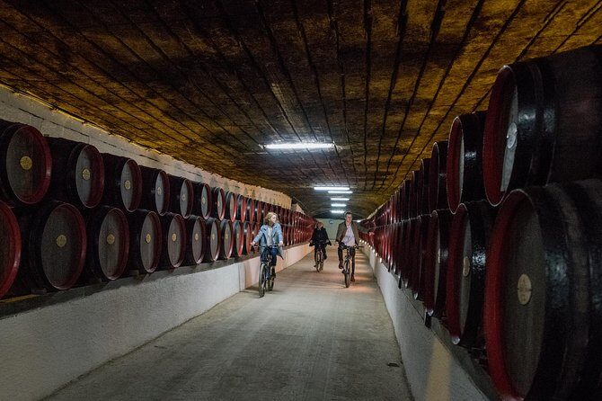 Private Bike Tour to Cricova Winery with wine tasting and lunch - Authentic Insights from Past Travelers