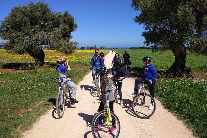 Private Bike Tour with Olive Oil Tasting - Who Will Love This Tour?