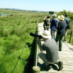 Private Birdwatching from Porto - Frequently Asked Questions