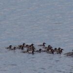 Private Boat Excursion into The Archipelago of Tammisaari - What Makes This Tour Valuable?