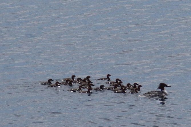 Private Boat Excursion into The Archipelago of Tammisaari - What Makes This Tour Valuable?