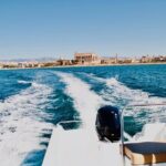 Private Boat Tour from Palma with Snorkeling and Paddle Surfing - Who Will Love This Tour?