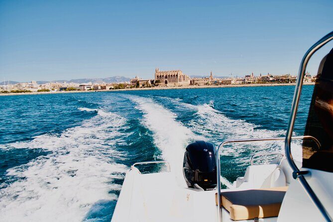 Private Boat Tour from Palma with Snorkeling and Paddle Surfing - Who Will Love This Tour?