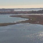 Private Boat Tour to Murano, Burano and Torcello - Authentic Insights from Reviewers