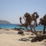 Private Boat trip from Sfakia to Elafonisi - How This Tour Balances Cost and Experience