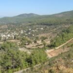 Private Bodrum Village Tour + 1 Glass Free Local Wine - An In-Depth Look at the Bodrum Village Tour
