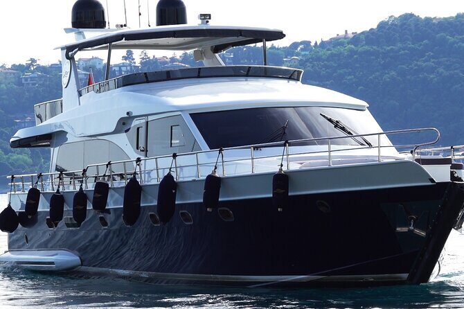Private Bosphorus Sightseeing Cruise on Luxury Yacht - Who is This Tour Best Suited For?