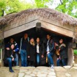 Private Bucharest city tour visit the Palace of the Parliament & Village Museum - Walking Through Calea Victoriei