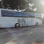 Private Bus from Trieste Cruise Port to Venice, piazzale Roma - Pricing and Value