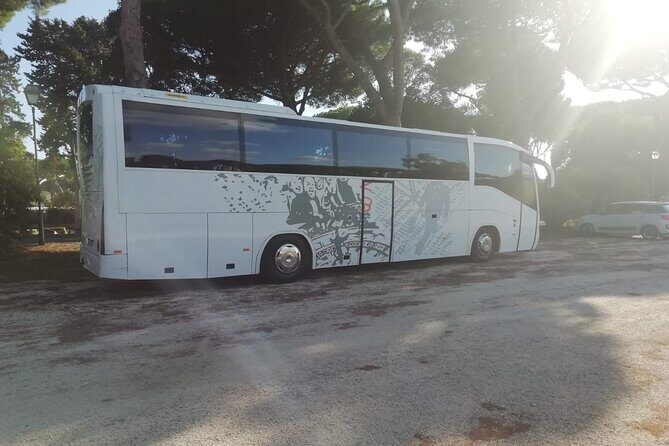 Private Bus from Trieste Cruise Port to Venice, piazzale Roma - Pricing and Value