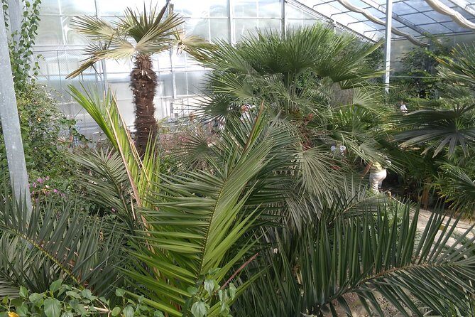 Private Cape Kaliakra & the Balchik Botanical Gardens from Varna - Balchik Botanical Gardens and Queen Marie’s Summer Palace