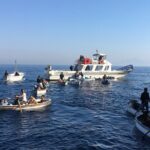 Private Capri and Blue Grotto Day Tour From Sorrento - Exploring Anacapri