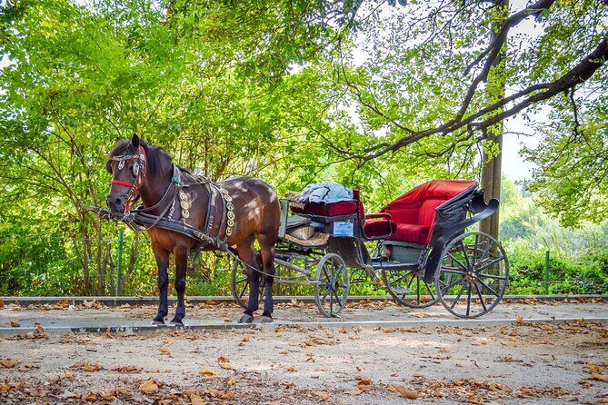 Private Carriage Ride in Vrelo Bosne Nature Park - The Experience of the Ride