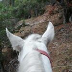 Private Cascades Waterfall Horseback Riding Tour from Smolyan - What’s Included and What Not
