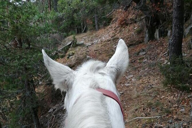 Private Cascades Waterfall Horseback Riding Tour from Smolyan - What’s Included and What Not