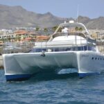 Private Catamaran Charter with Transfer, Buffet and Snorkeling - Snorkeling and Swimming: Up Close with Tenerife’s Underwater Life