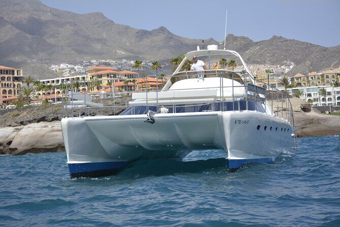 Private Catamaran Charter with Transfer, Buffet and Snorkeling - Snorkeling and Swimming: Up Close with Tenerife’s Underwater Life