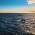 private charter 3 Hours Whale Encounter puerto colon adeje - FAQs