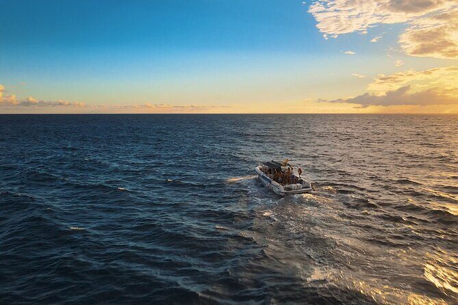 private charter 3 Hours Whale Encounter puerto colon adeje - FAQs