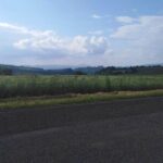 PRIVATE Civita di Bagnoregio and Orvieto Wine Tasting -Ebike tour - The Full Experience: What You Can Expect