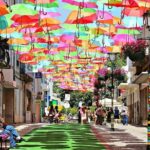 Private Coastal Journey (Obidos, Nazaré) to Águeda Art Umbrellas - Transportation and Logistics
